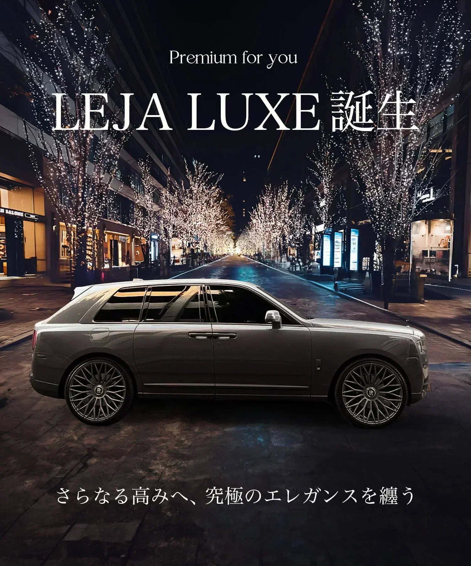 【SOLD OUT】【新品】HERMÈS(エルメス) 手袋 《ボニー》 アニョー・グラッセ