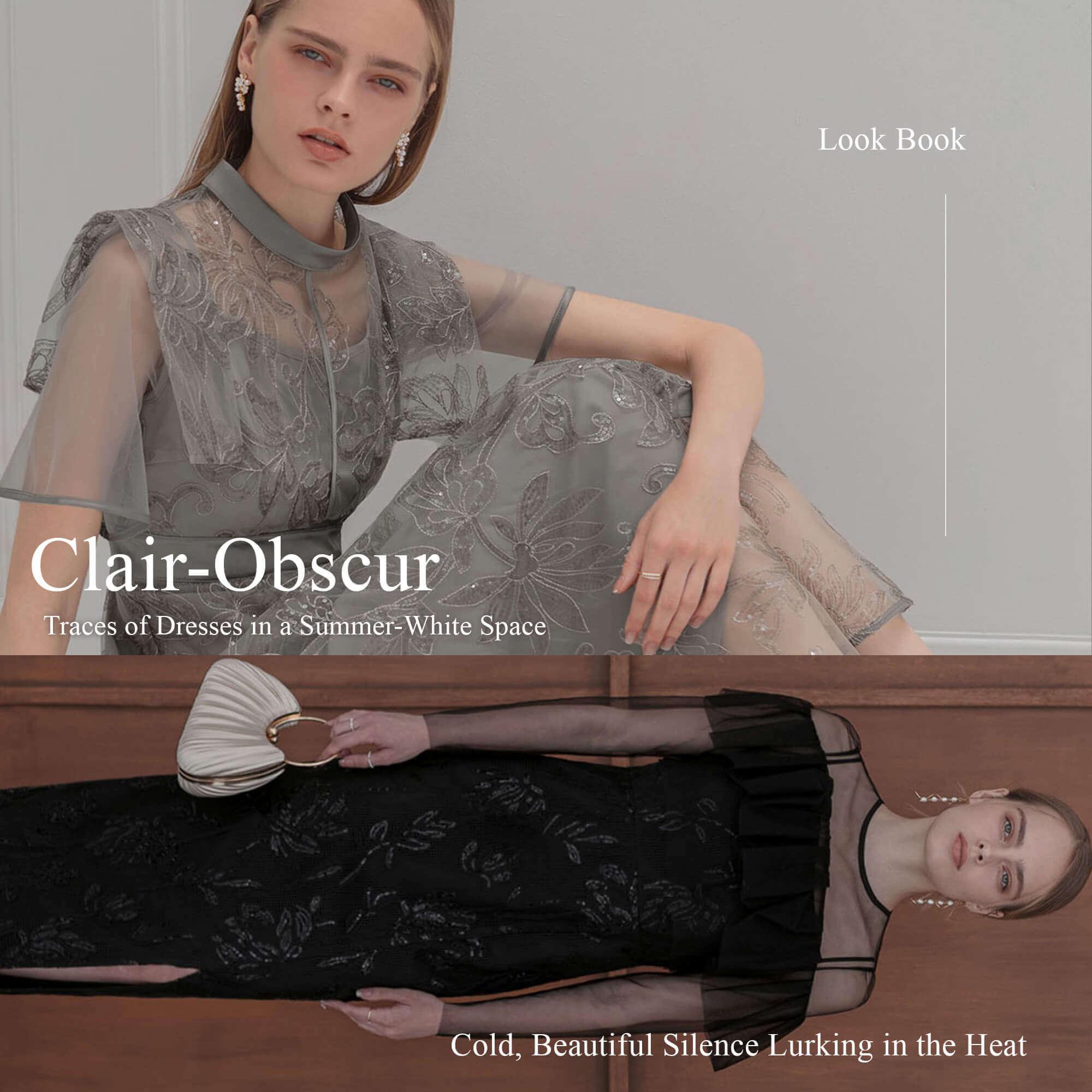 Clair-Obscur LOOK BOOK